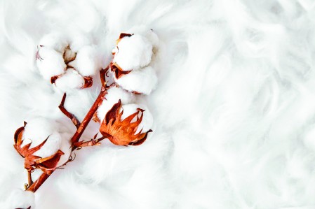 Les couleur blanches du nuancier Cromology interieur Classidur Jallut, comme le coton inspirent la lumière